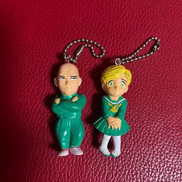 카멜레온 시이나 히카루 키링 당시 물품