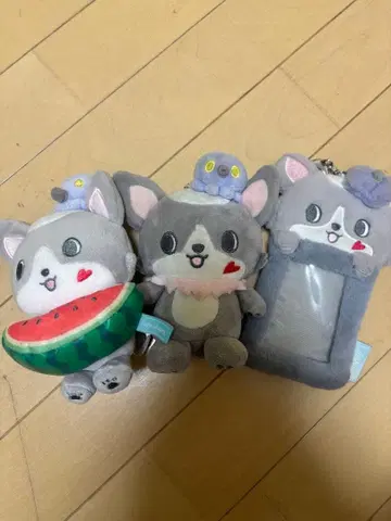 JO1 츠루보 시온 츄라라 제오참 봉제 인형