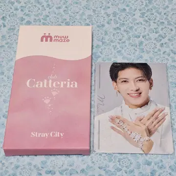 포토 카드 미케