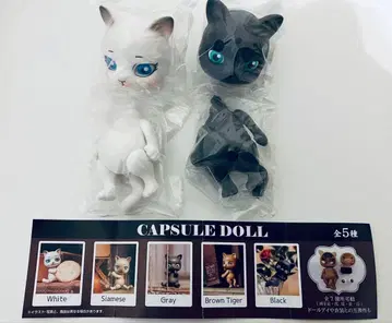 캡슐 인형 고양이 화이트 그레이