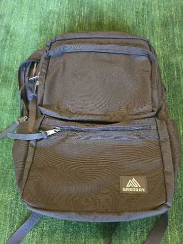 Gregory 그레고리 커버트 미션 데이