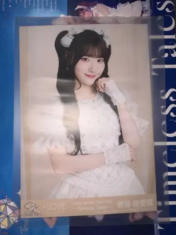 사이토 지아라 봉입 브로마이드 typeC