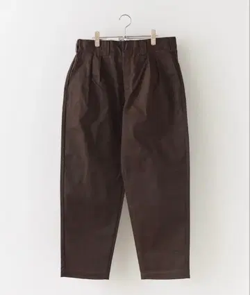 Dickies RELAX FIT 투 턱 팬츠 다크 브라운