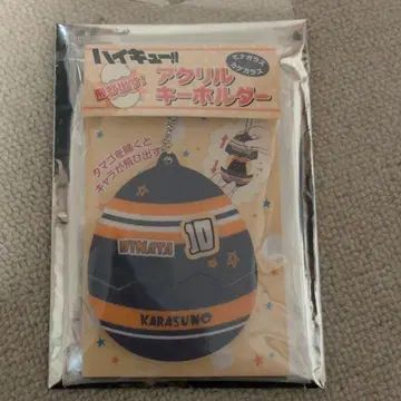 하이큐!! 아크릴 키링 점페스 (점프샵 구매)