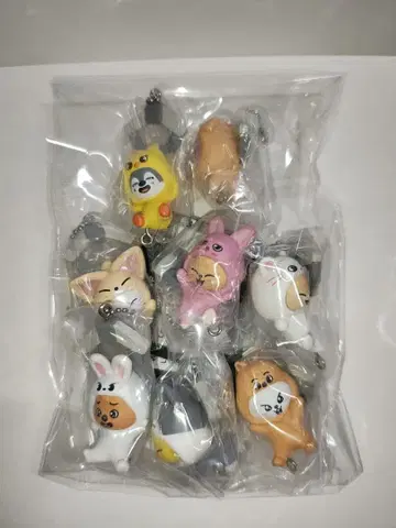 SKZOO 츳남데츠나게테마스코토 vol.2 8종 컴프 볼체인