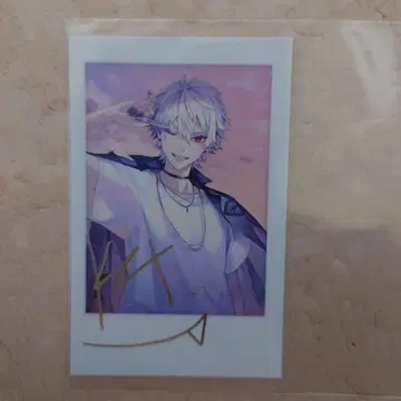 JILLSTUART 쿠츠하 폴라로이드