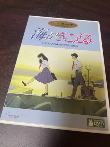 스튜디오 지브리 바다가 들린다 DVD 2매 세트 (본편, 특전)