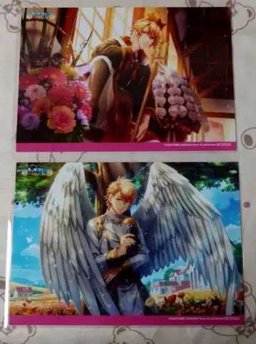 우타프리 샤니라이 아카이브 혜택 브로마이드 쇼