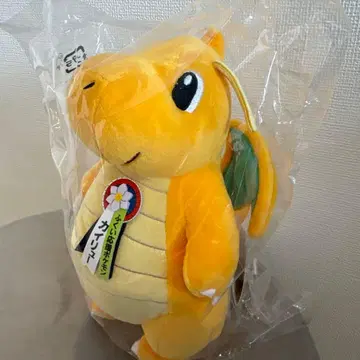 포켓몬 류 [후쿠이 한정판] 봉제 인형