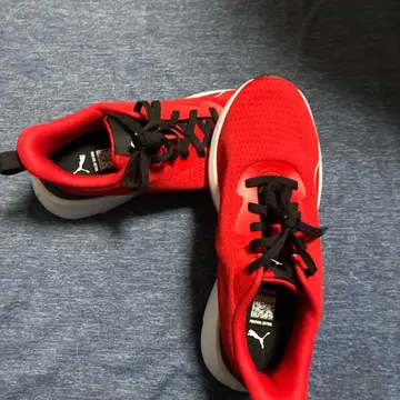 Puma 레드 러닝화