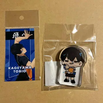 하이큐 모초초 카게야마 토비오 아크릴 블록