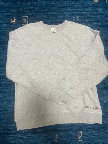 FRUIT OF THE LOOM 그레이 스웨트 셔츠