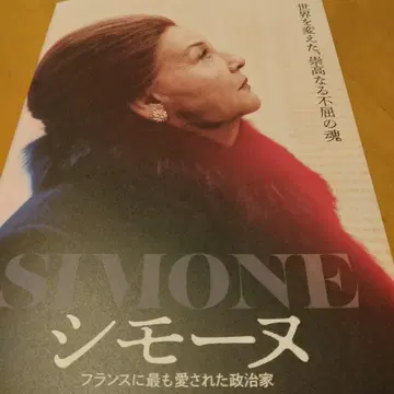 영화 SIMONE 시모네 정치인의 전기 팜플렛