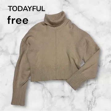 TODAYFUL 투데이풀 헤비 터틀 니트 아이보리