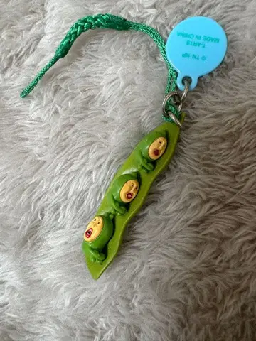 소인 도감 여름의 맛