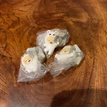 skzoo 츠마은데 츠나게테 마스코토 vol.2 폭시니 3개 세트