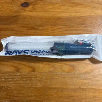 SnowMan 응원봉 RAYS