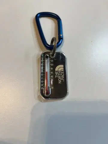 THE NORTH FACE 온도계 포함 키링 블랙 레어
