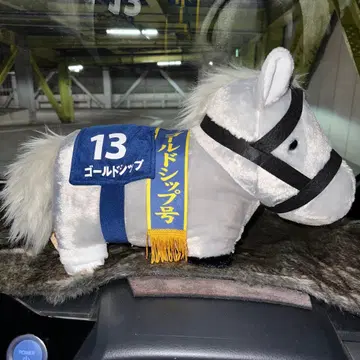 골드십 서러브레드 컬렉션 포근포근 BIG