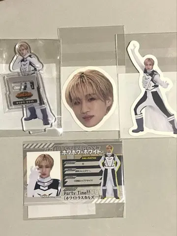 마츠이 토시키 발리레인저 세트