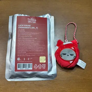 BOYNEXTDOOR 보넥도 푸넥도 오너먼트 럭키드로우 테산