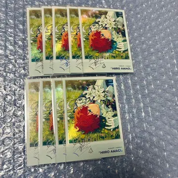 앙스타 중국 별 환시서 폴라로이드 아마기 히이로