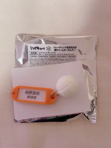 하이큐 트레이딩 고등학교 이름표기 열쇠 참 키링