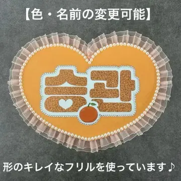 네임보드 SEVENTEEN 세부치 캐럿 승관 네임보