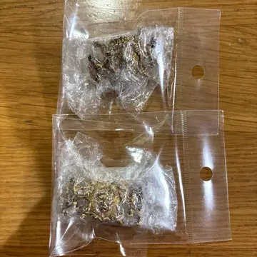 죠죠의 기묘한 모험 제일복권 핀즈 컬렉션 1부 2개 세트