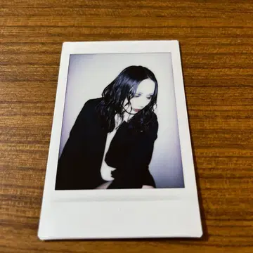 흠집 라이무 폴라로이드