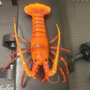 이세에비형 피규어 약 30cm 오렌지