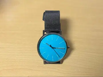 SKAGEN 블루 다이얼 손목시계 배터리 방전
