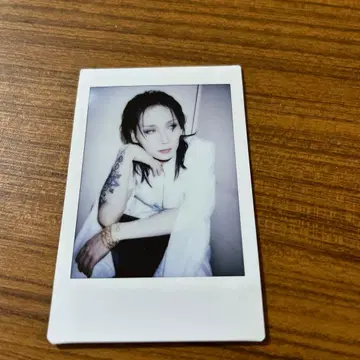 흠집 유에 폴라로이드