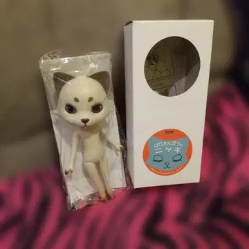 벌거숭이 니키 리카짱 반려동물 웍스 인형 오데코짱