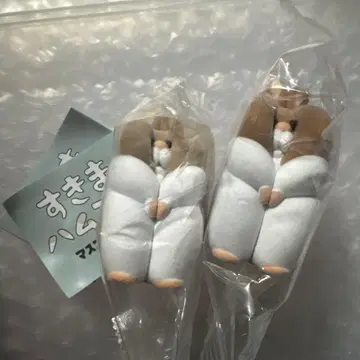 틈새 햄스터 2개 세트 골든햄스터 정글리안 노멀