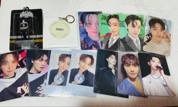 SEVENTEEN 디노 굿즈 세트