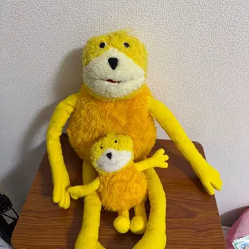 flaterik 플랫에릭 20주년 기념