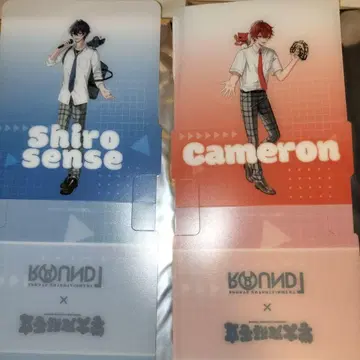 여자 연구 대학 코스터