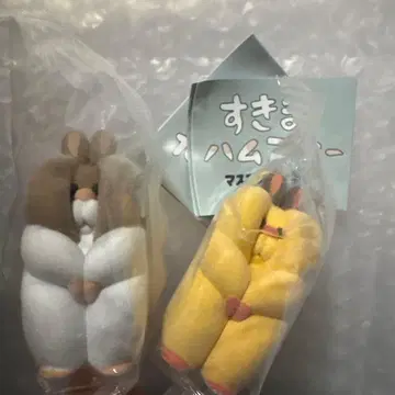 틈새 햄스터 2개 세트 골든 햄스터 정글리안 노멀