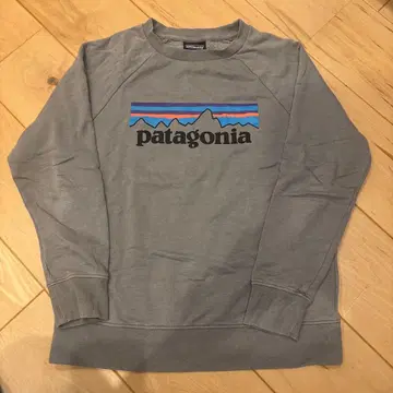 patagonia 그레이 트레이닝복 L