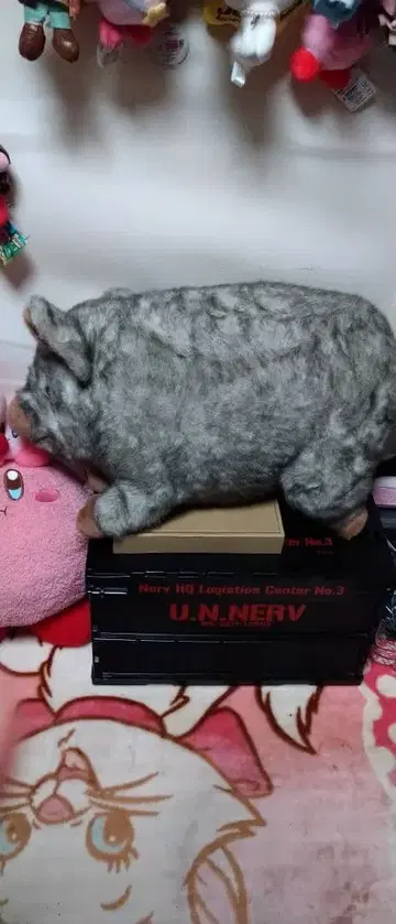 애니멀 어레이 봉제 인형 돼지