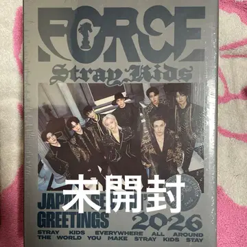 straykids 시그 미개봉