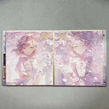 프로젝트 세카이 25시, 나이트 코드에서.