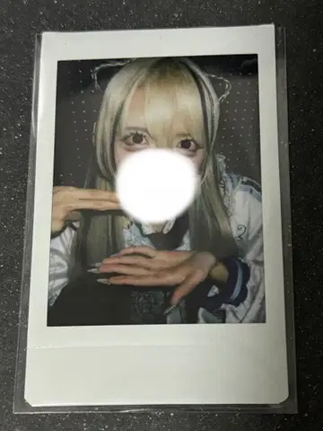 러브시크 하야테 폴라로이드 핑 폴라로이드 솔로 폴라로이드