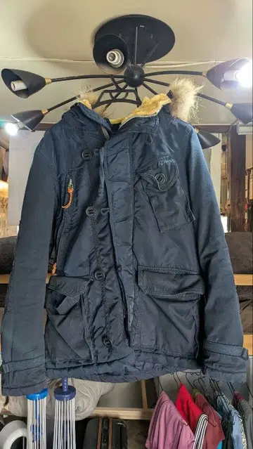 Quadro hippocampus 자켓