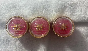 프로세카 세카라이 5th 린라이 에무 3개