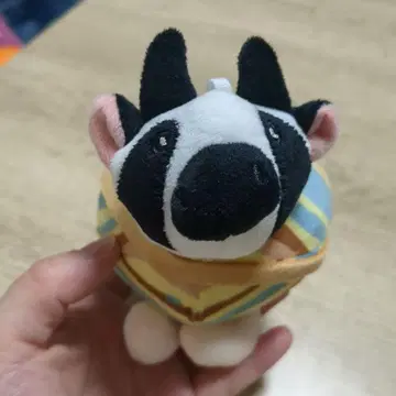 이탈리안 레인 로트