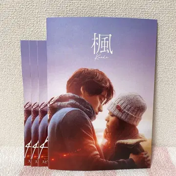 영화 단풍 팜플렛