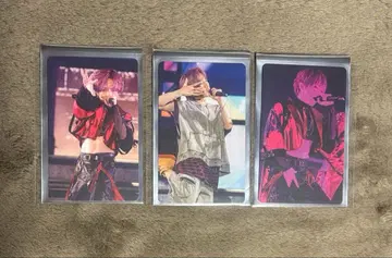 우라시마사카타센 랜덤 미니 포토 카드 우라타누키 WARN12G 포토 카드