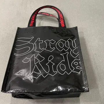 StrayKids 스키즈 dominATE 업그레이드 특전